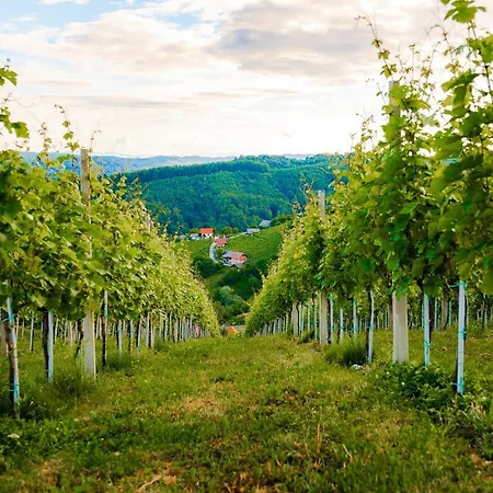 Zupan With Hot Tub Vakantiehuis