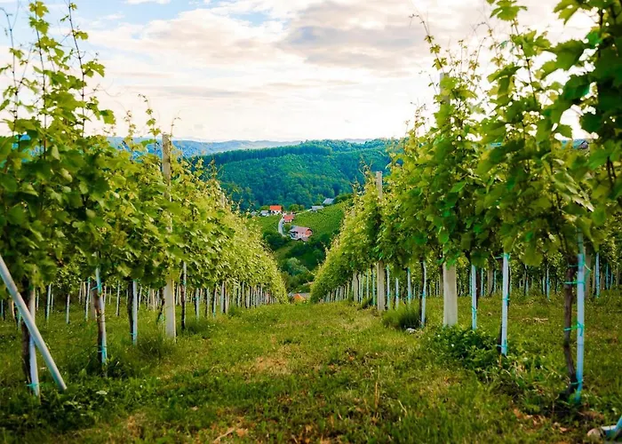 Zupan With Hot Tub Hébergement de vacances
